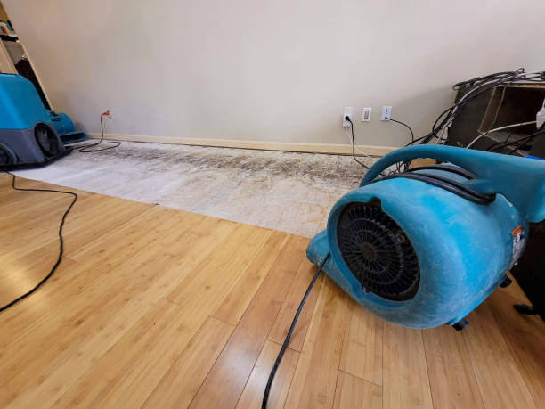 Professional Flood Damage Cleanup technician working in Waterford, CA